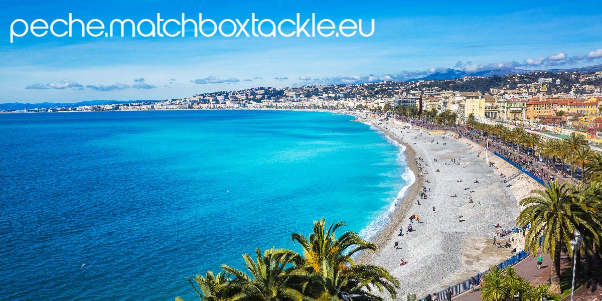 peche.matchboxtackle.eu